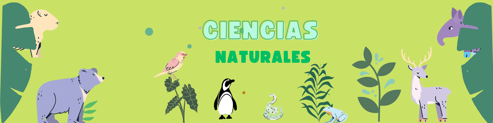 ciencias naturales 5